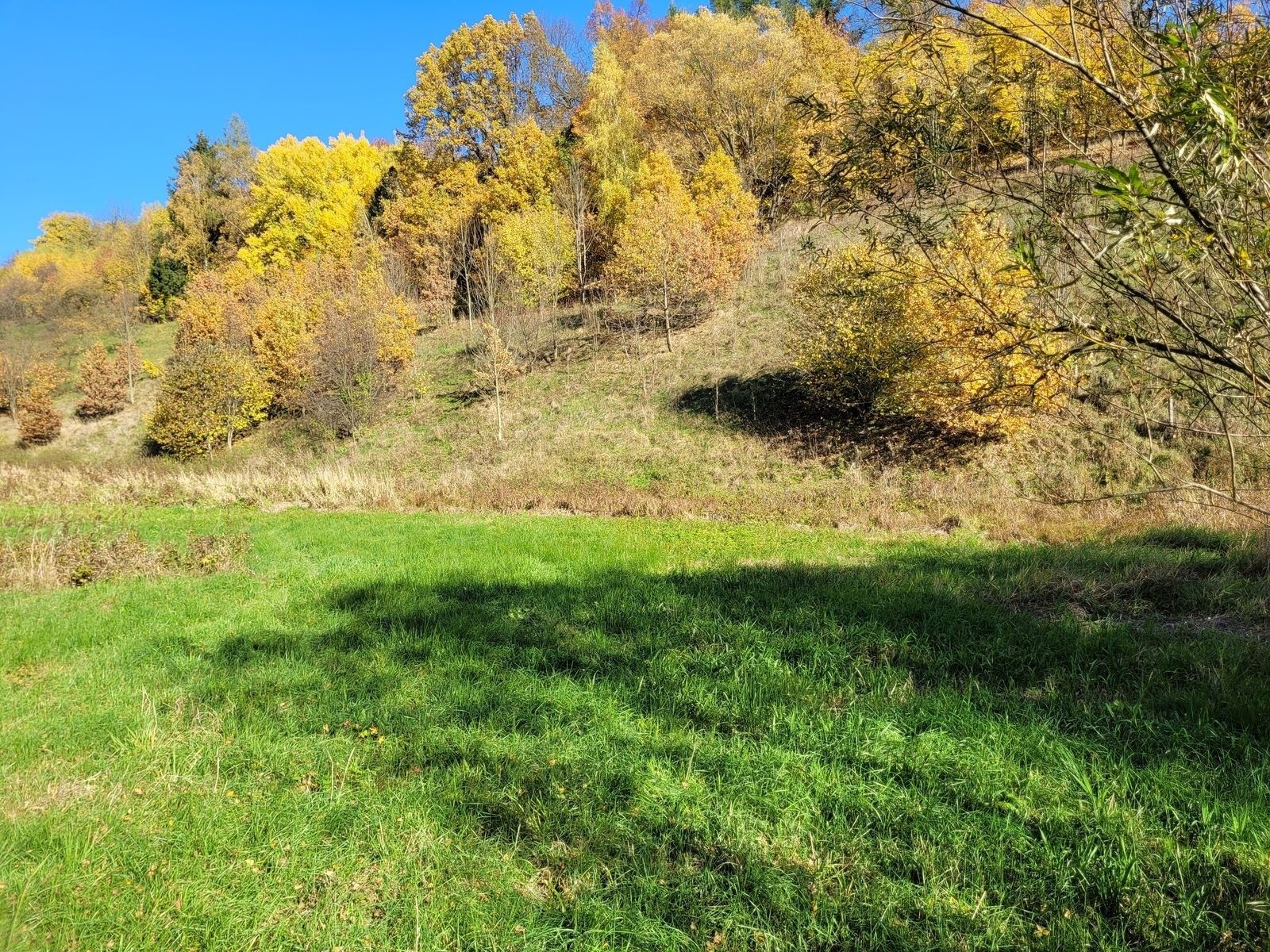 Pozemek pro bydlení · 4 496 m² · Heřmánkovice - 3