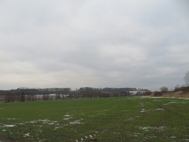 Prodej louka - Račice nad Trotinou - 2