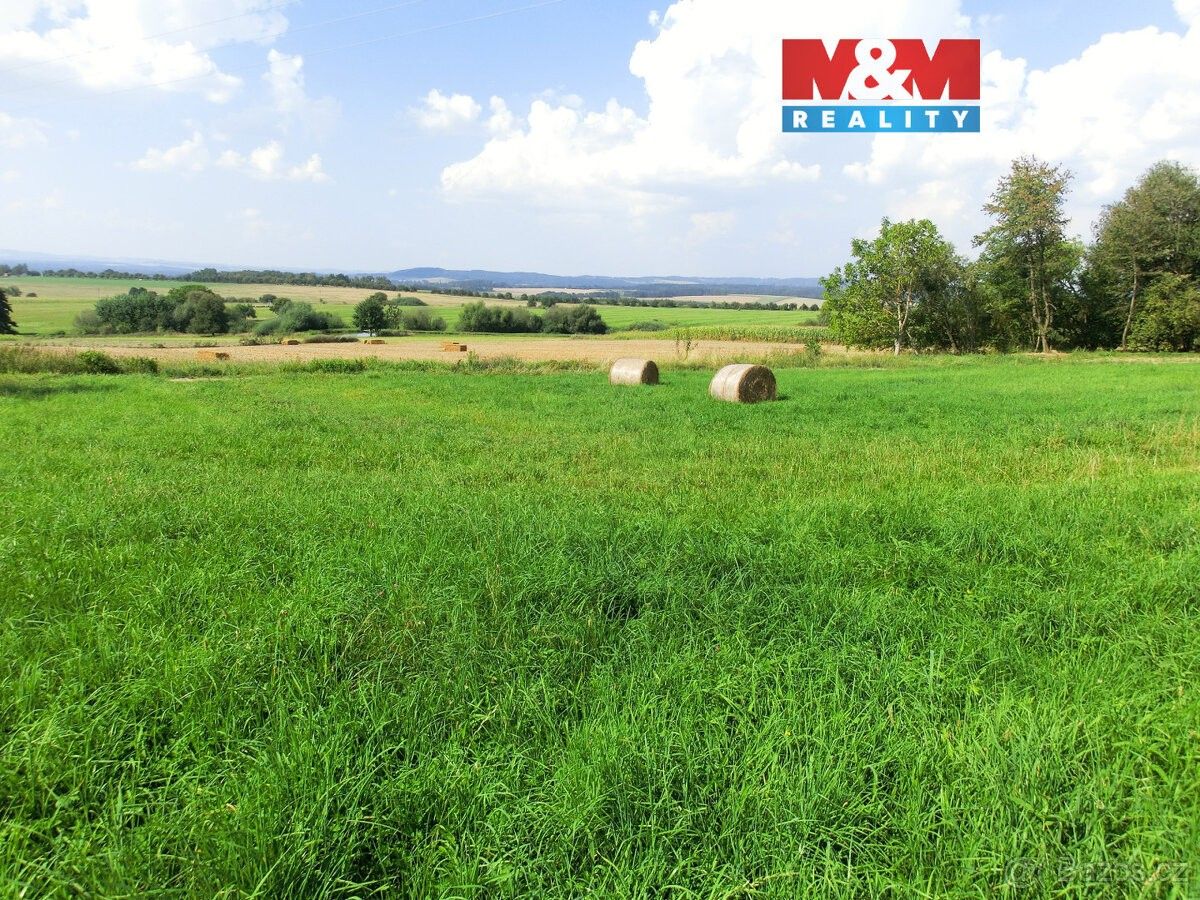 Pozemky pro bydlení, Radenín, 391 20