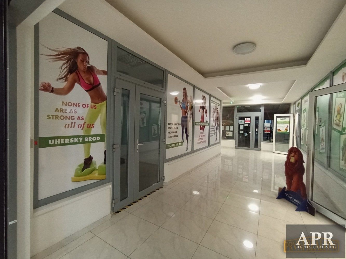 Obchodní prostory · 150 m² · Uherský Brod, okres Uherské Hradiště, Zlínský kraj - 4