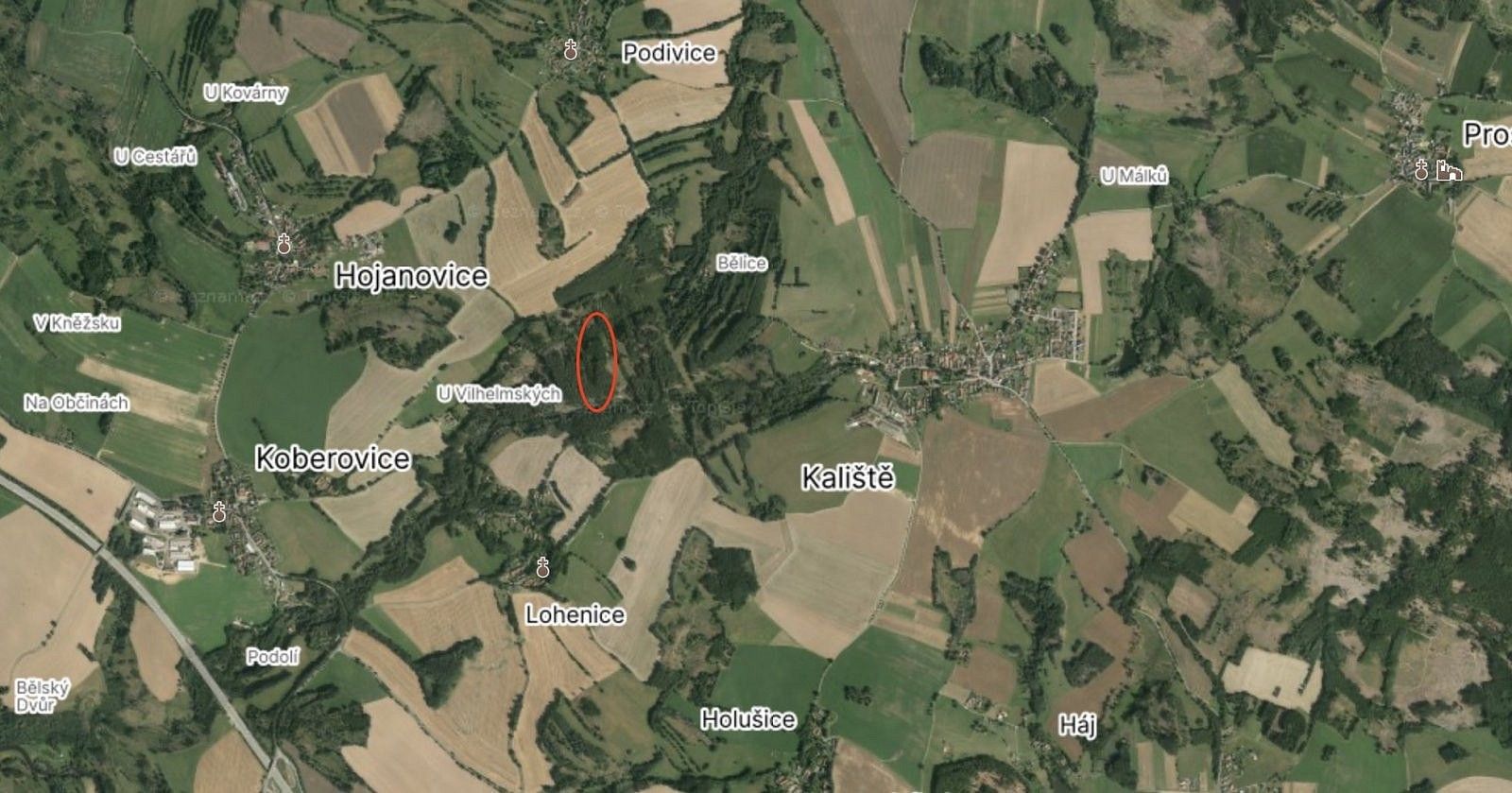 Les · Koberovice - Lohenice, okres Pelhřimov, Kraj Vysočina - 3