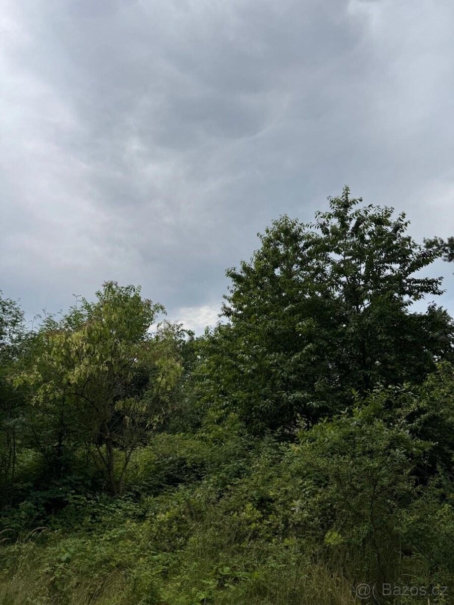 Pozemky pro bydlení, Týn nad Vltavou, 375 01