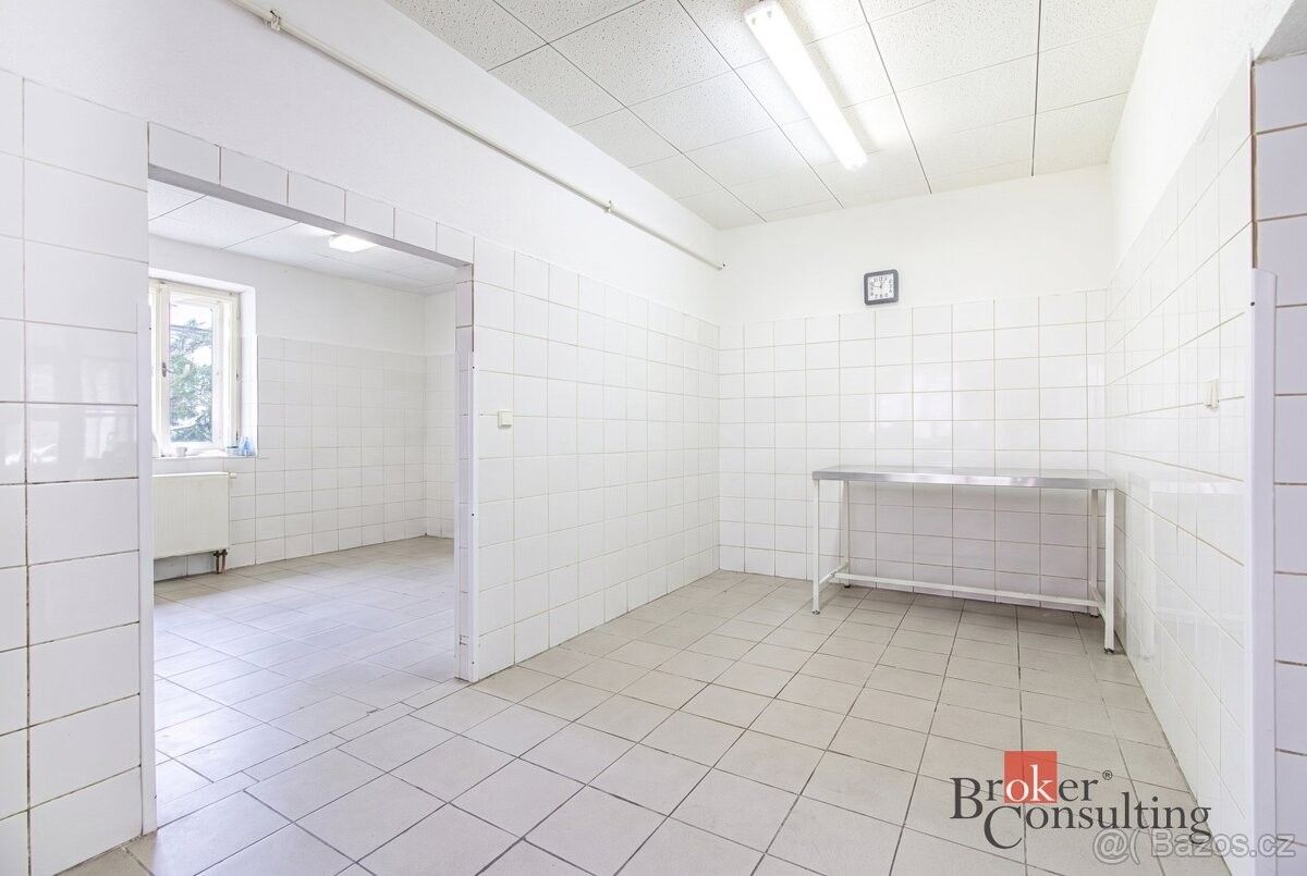Nemovitost · Vrbno pod Pradědem, 793 26 - 4
