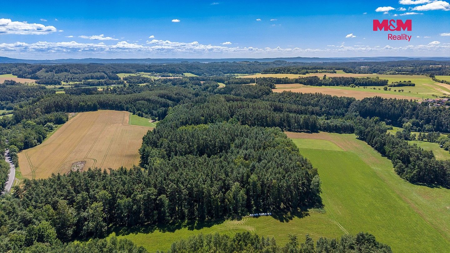 Les · Bílá, okres Liberec, Liberecký kraj - 3