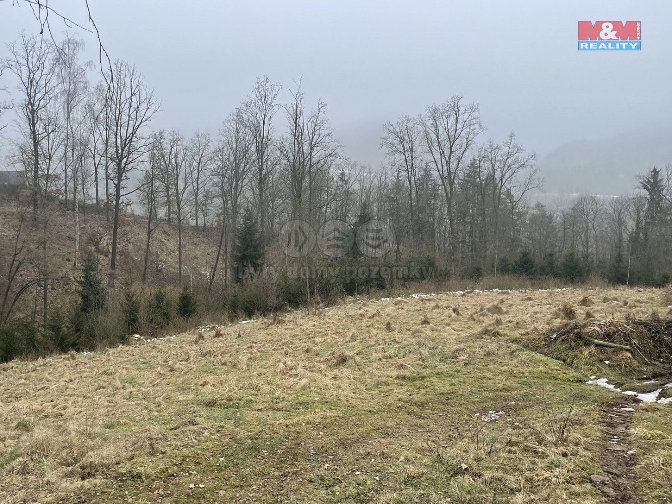 Les · Košťálov, okres Semily, Liberecký kraj - 3