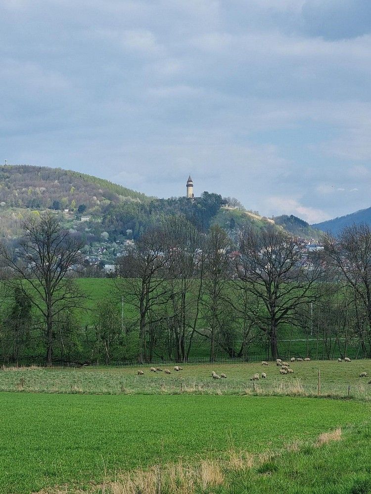 Zemědělský pozemek · Štramberk, okres Nový Jičín, Moravskoslezský kraj - 3