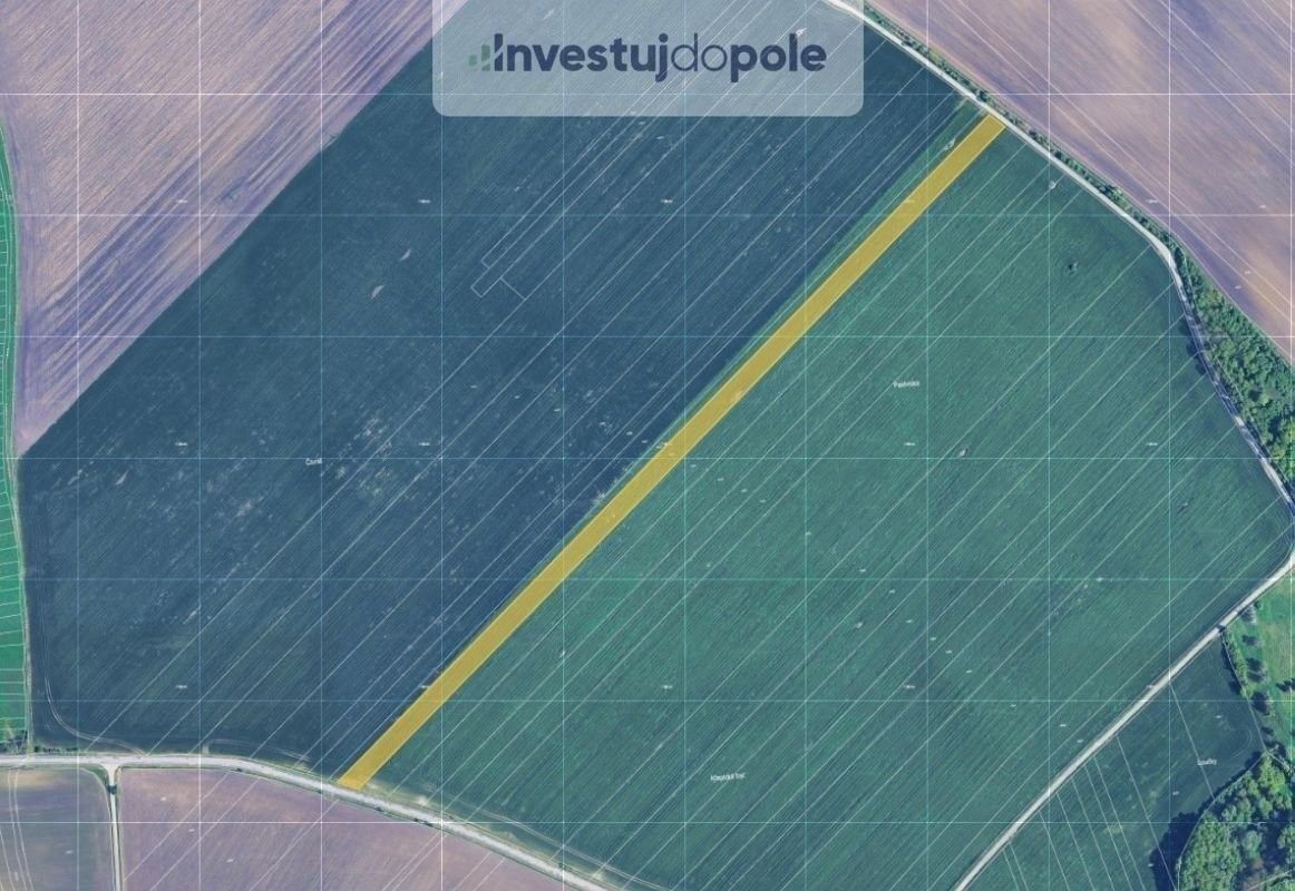 Zemědělské pozemky, Nikolčice, 15 471 m²