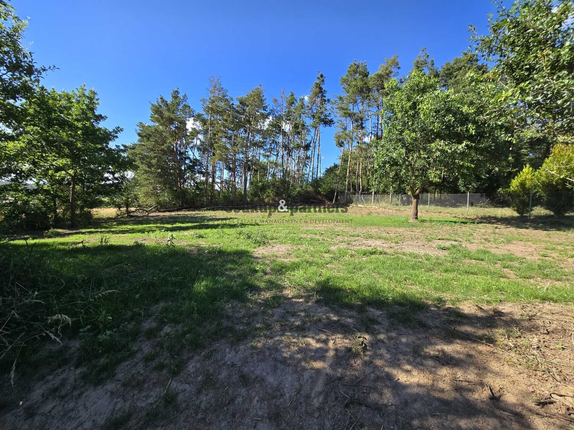 Louka · 669 m² · Slapy - 4