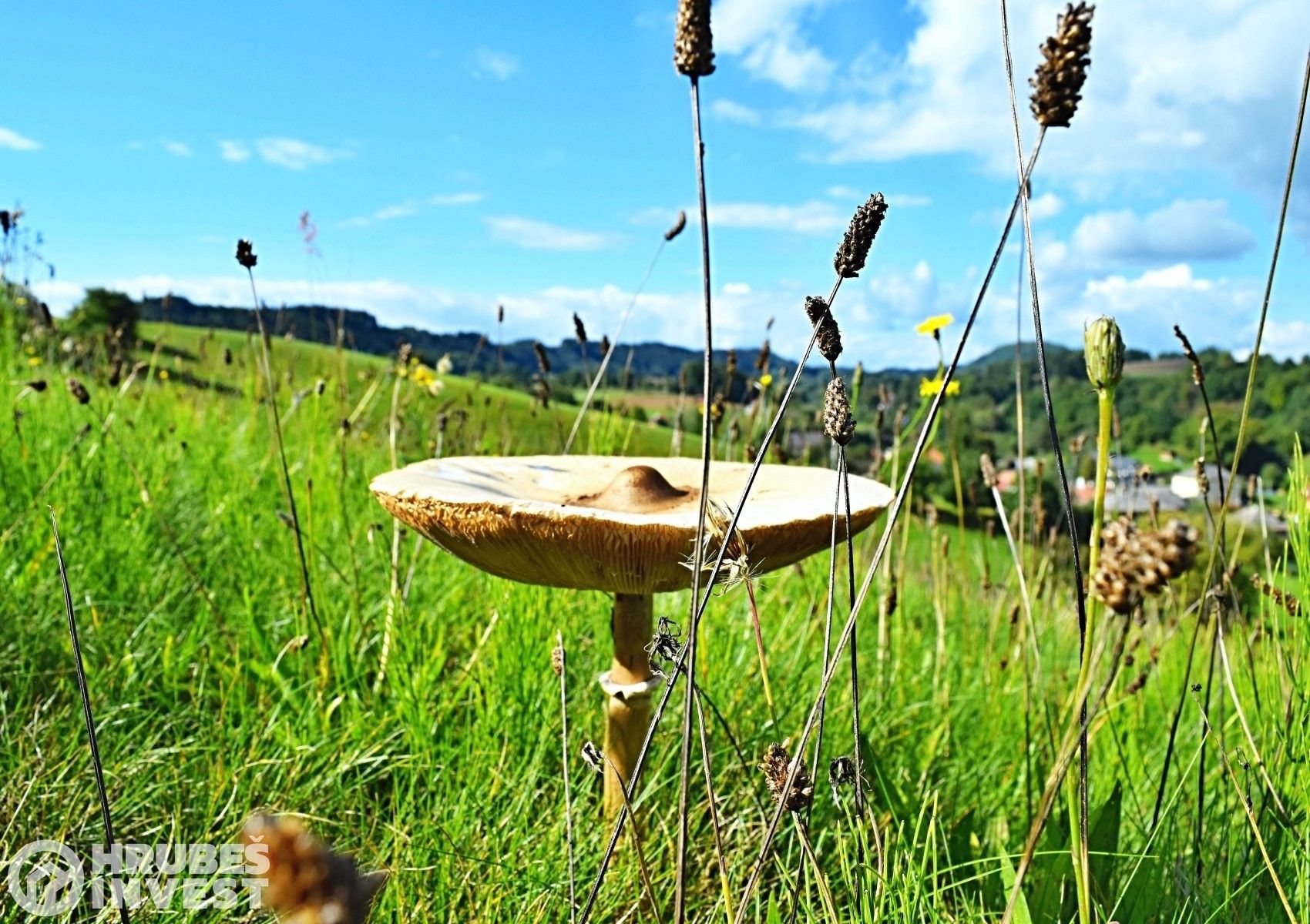 Pozemky pro bydlení, Hnátnice