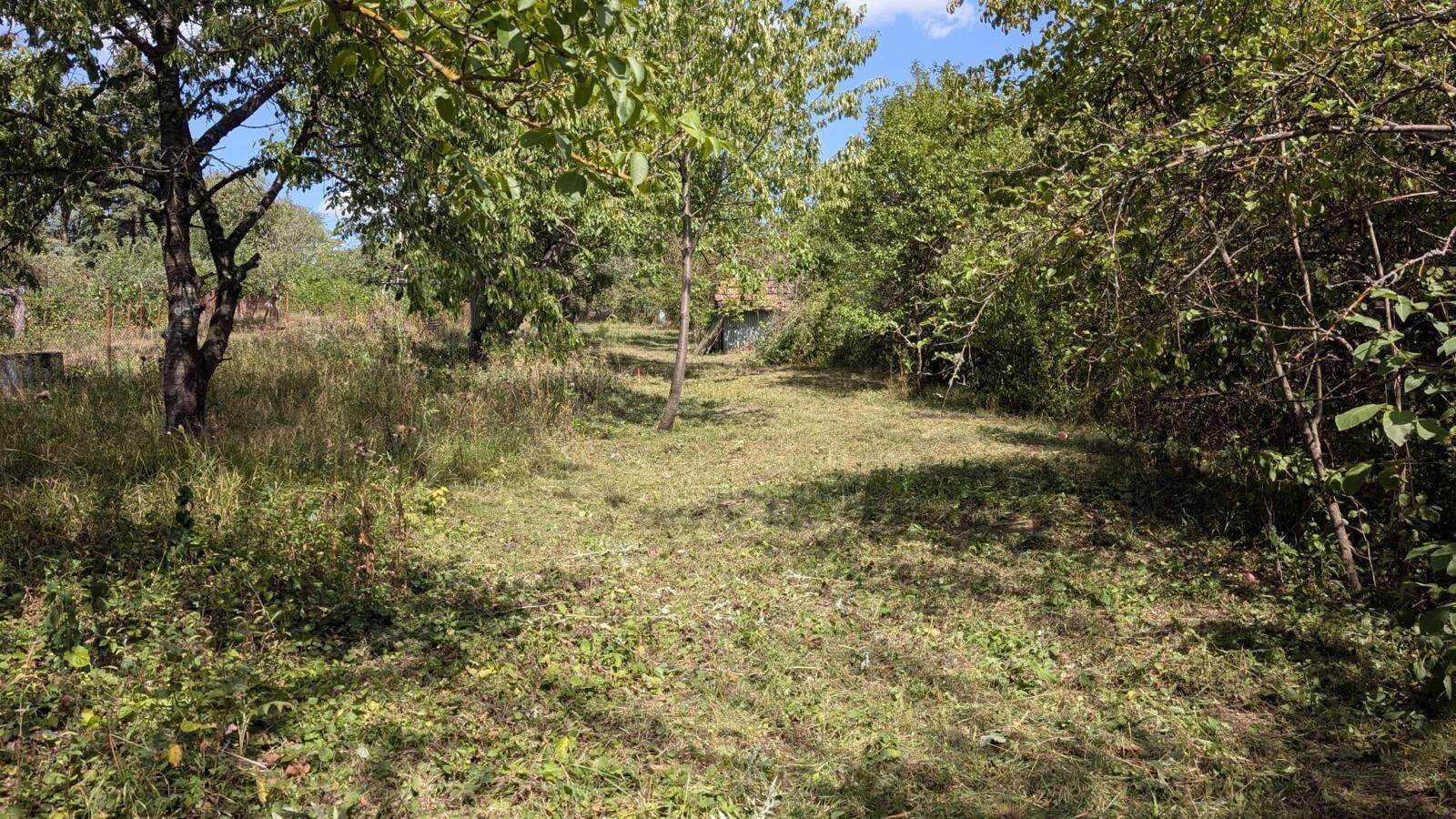 Zahrada, 490 m²