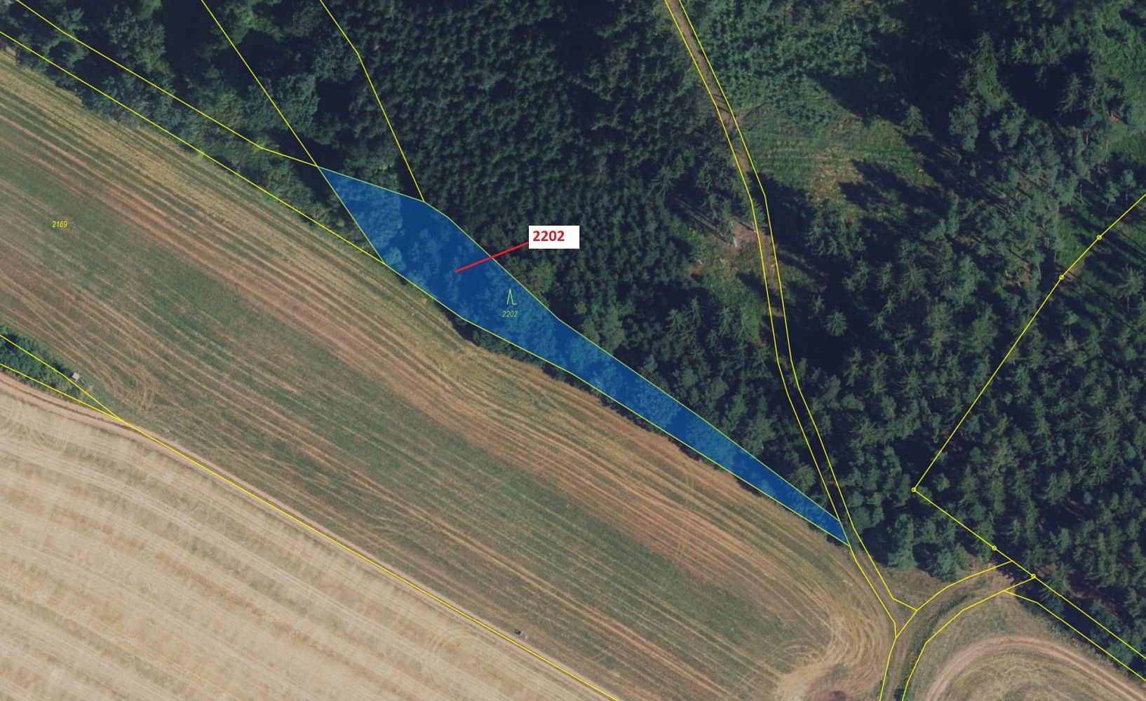 Prodej les - Dlouhá Loučka, okres Svitavy, Pardubický kraj - 2