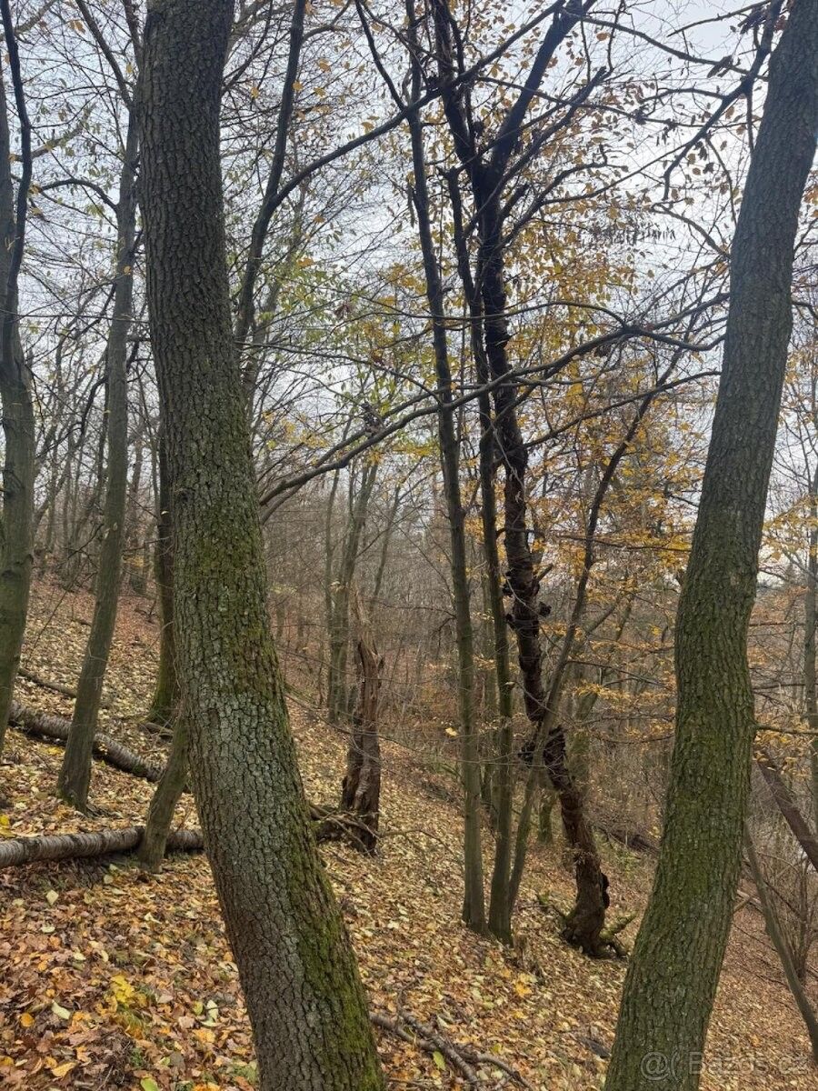 Pozemky pro bydlení, Drahany, 798 61