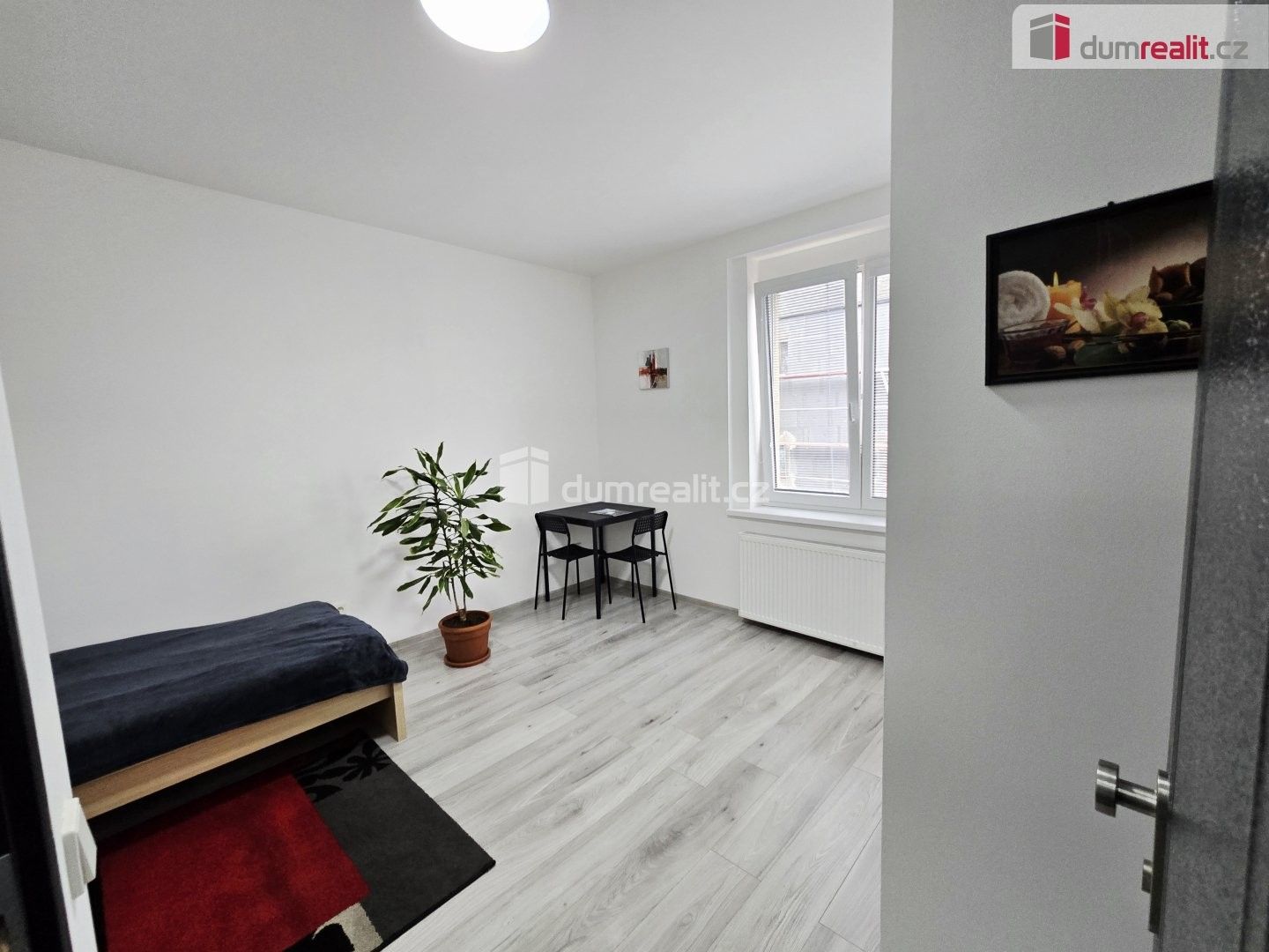 1+kk, Nová, Lužná, 20 m² - 2