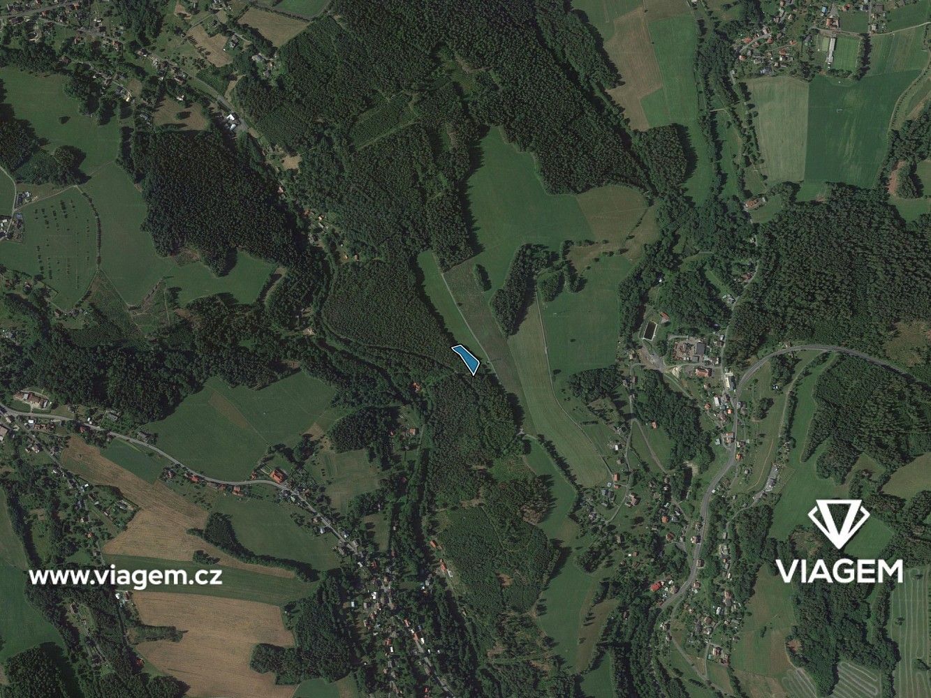 Les · Loužnice, okres Jablonec nad Nisou, Liberecký kraj - 3