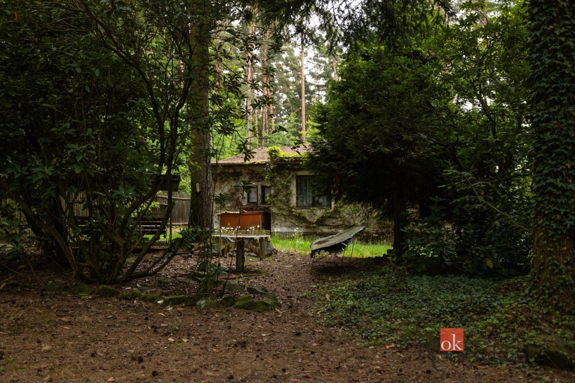 Prodej pozemek pro bydlení - Letkov, 1 366 m² - 5