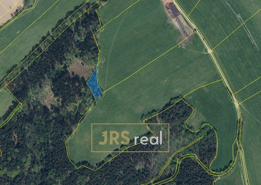 Les · Liberk, okres Rychnov nad Kněžnou, Královéhradecký kraj - 4
