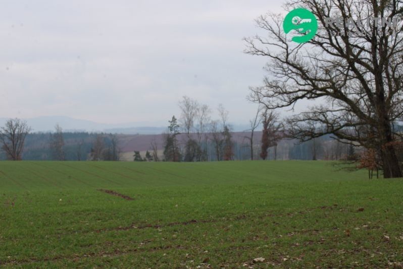 Prodej zemědělský pozemek - Kunčice nad Labem, 131 553 m²