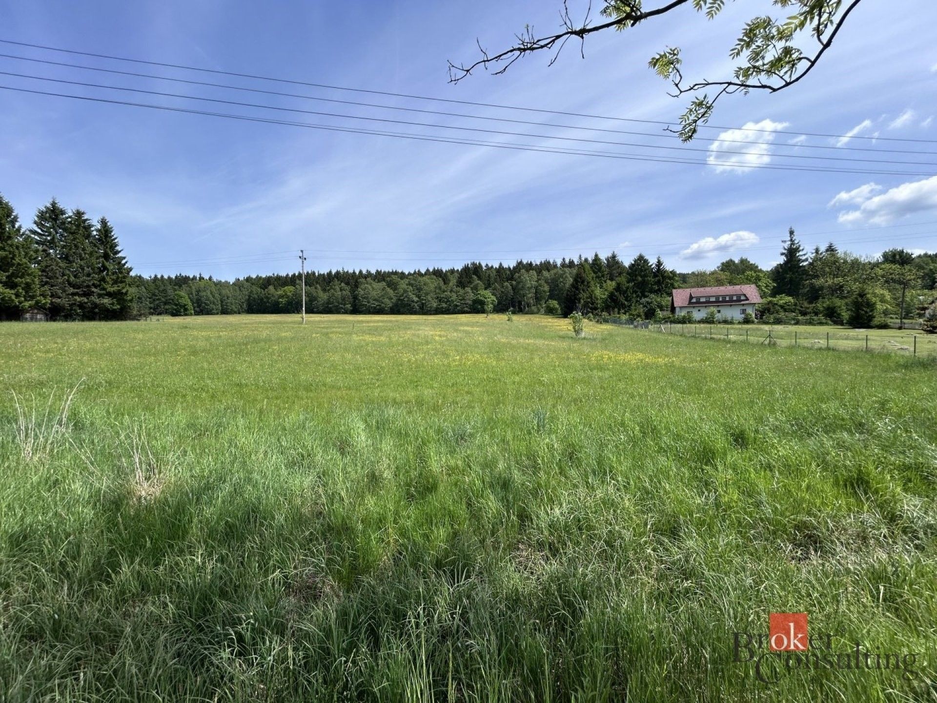 Louka, 8 717 m²