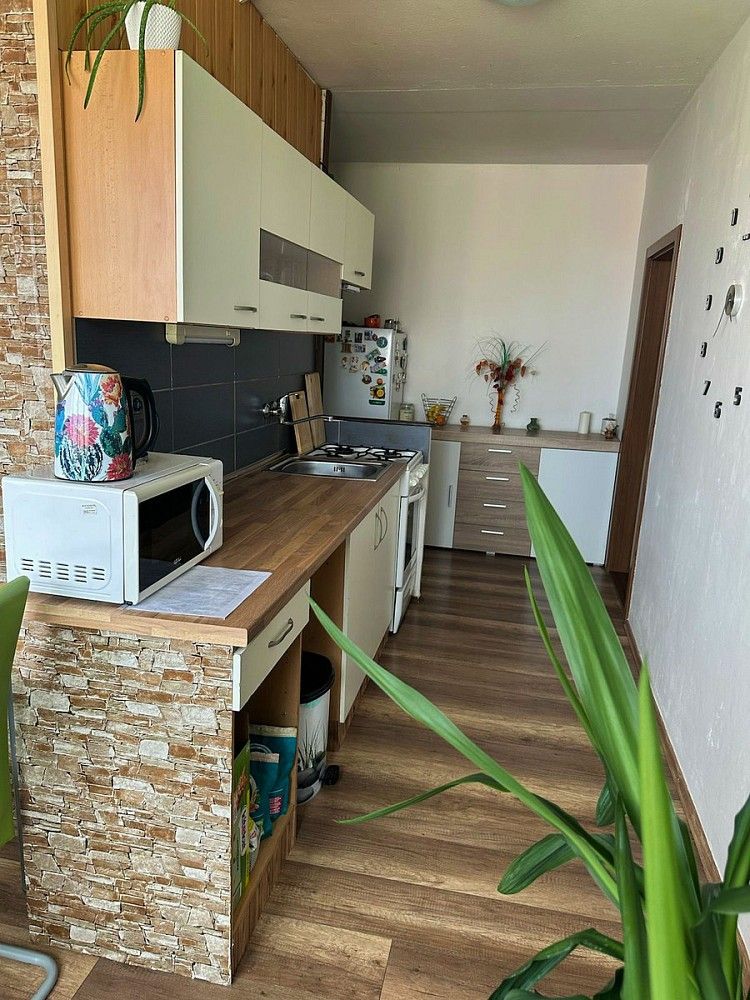 Byt 1+1 · 43 m² · České Budějovice - České Budějovice 2, Jihočeský kraj - 3