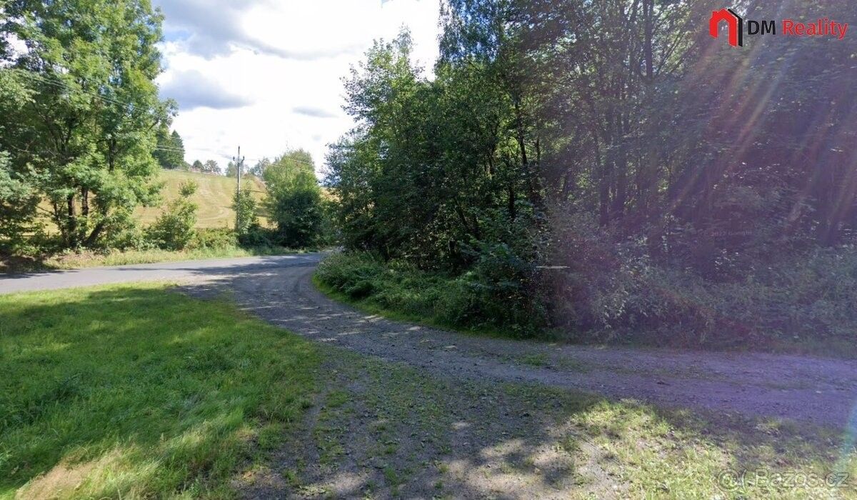 Ostatní, Železný Brod, 468 22