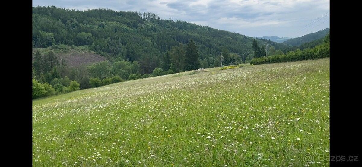 Pozemky pro bydlení, Bělá nad Svitavou, 569 05