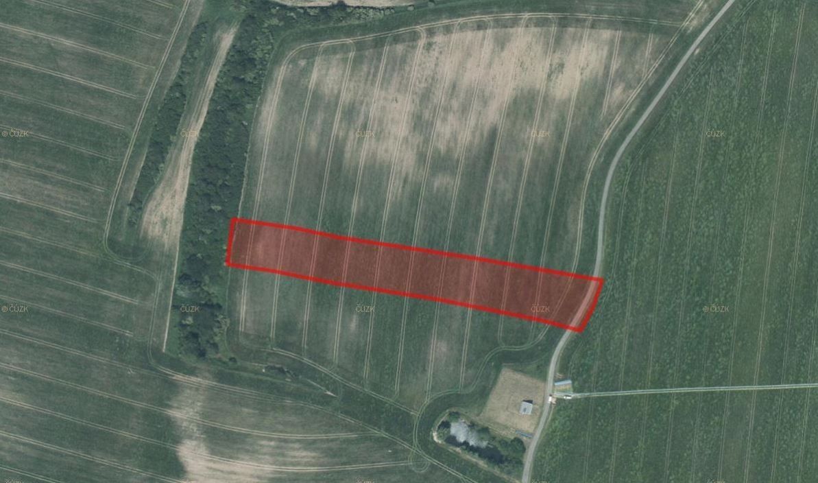 Prodej zemědělský pozemek - Nové Lublice, 54 957 m²