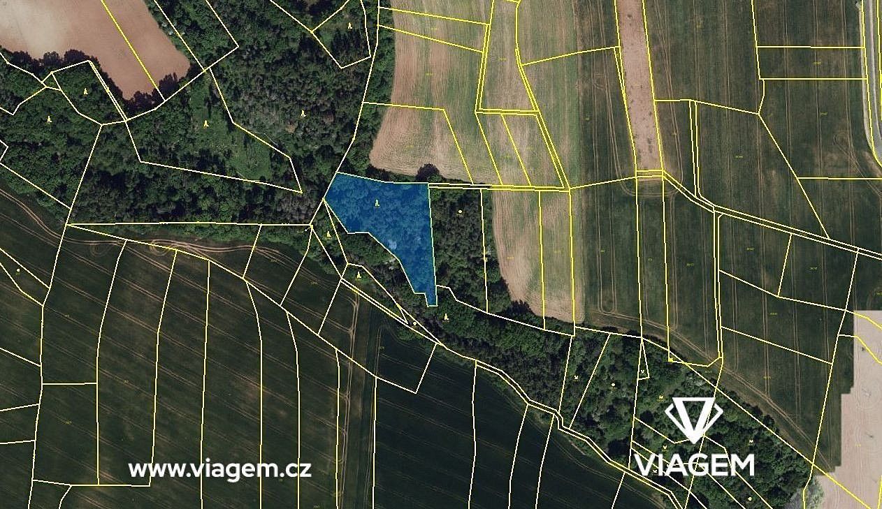 Prodej les - Pozdeň, okres Kladno, Středočeský kraj - 1