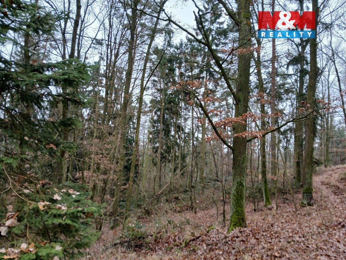 Prodej pozemek pro bydlení - Vodňany, 389 01