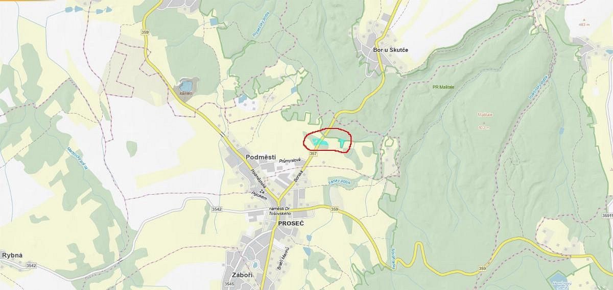 Les · Proseč - Česká Bříza, okres Chrudim, Pardubický kraj - 4