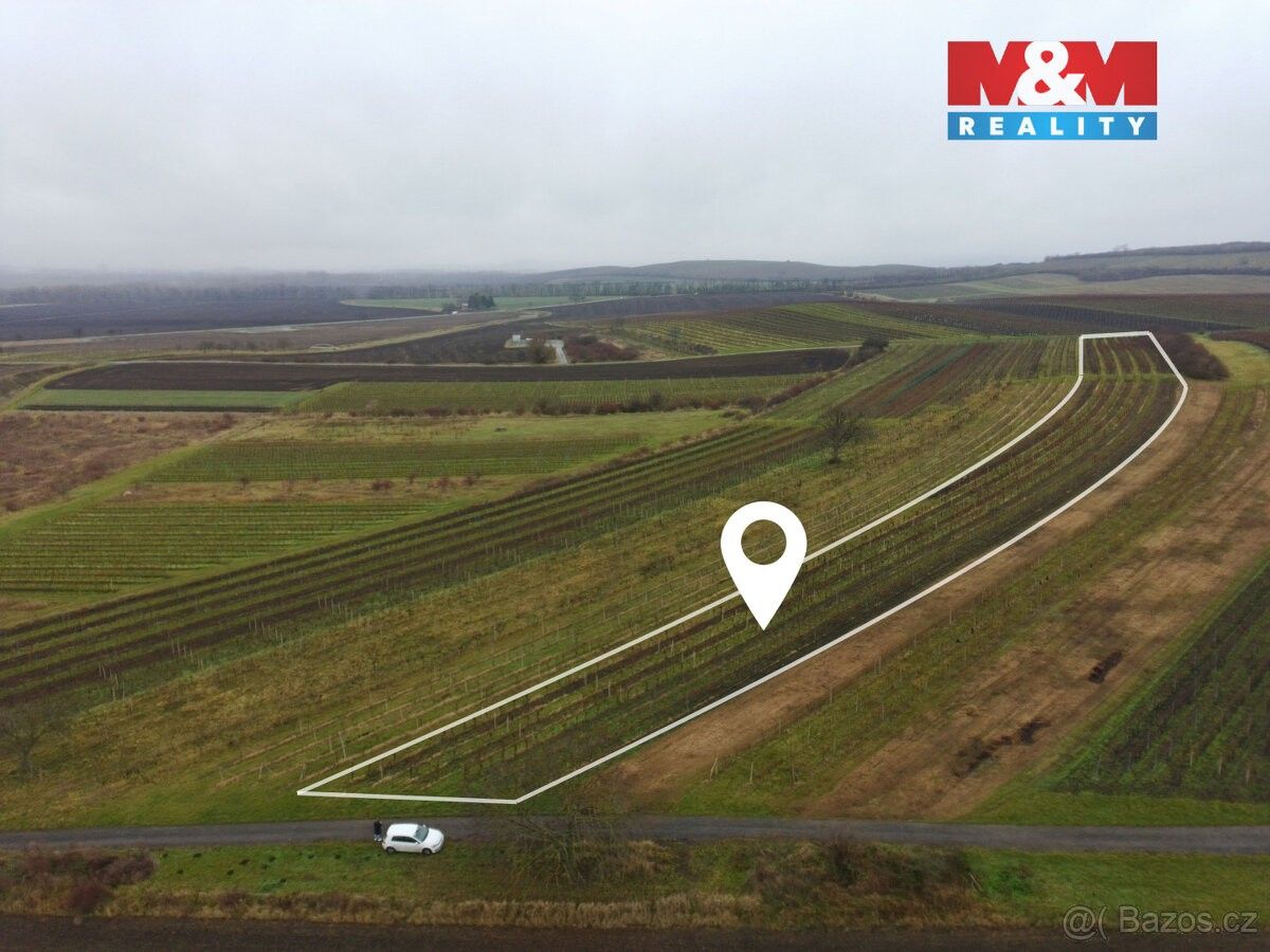 Prodej pozemek pro bydlení - Dolní Dunajovice, 691 85