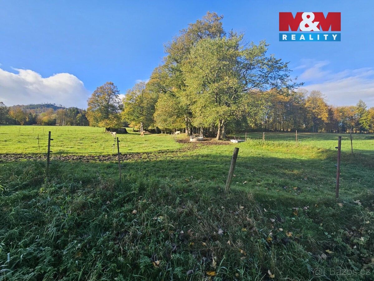 Prodej pozemek pro bydlení - Zlaté Hory v Jeseníkách, 793 76