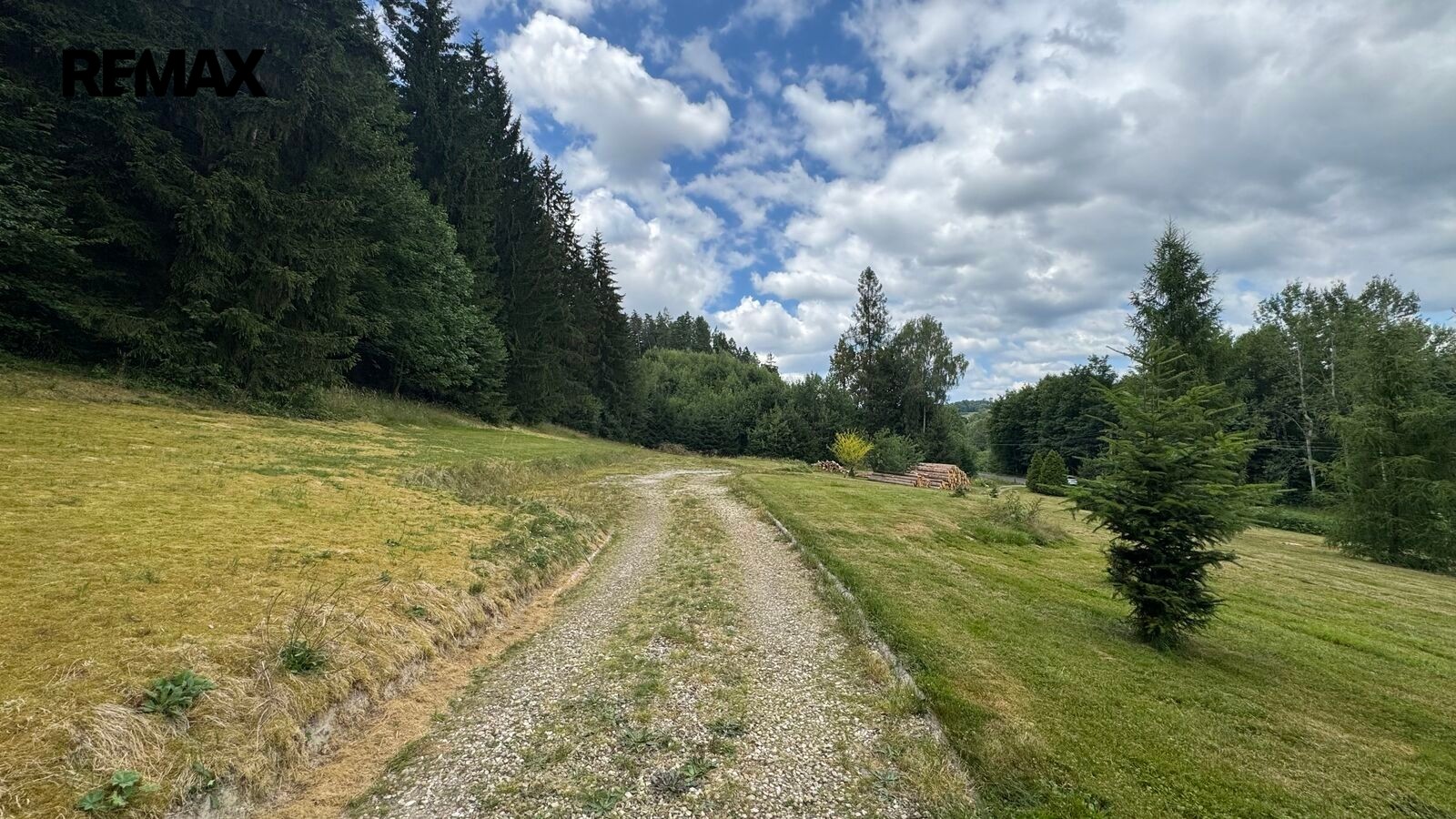 Prodej pozemek pro bydlení - Borušov, 990 m² - 5