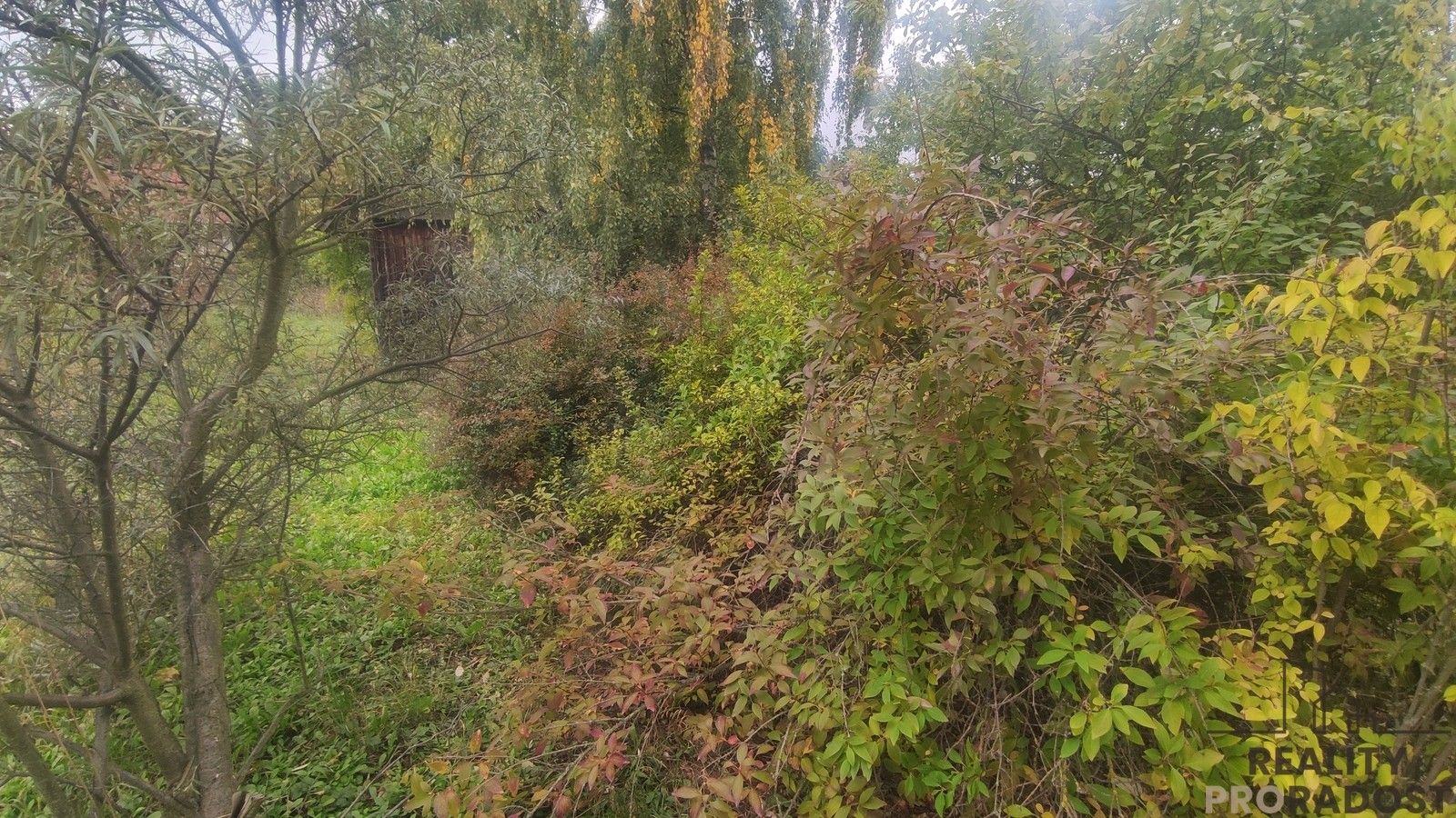 Prodej pozemek pro bydlení - Nové Sady, 751 m² - 5