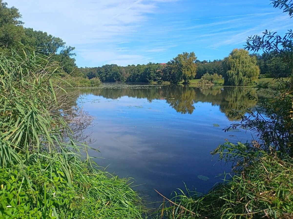 Pozemky pro bydlení, Kly, 277 41