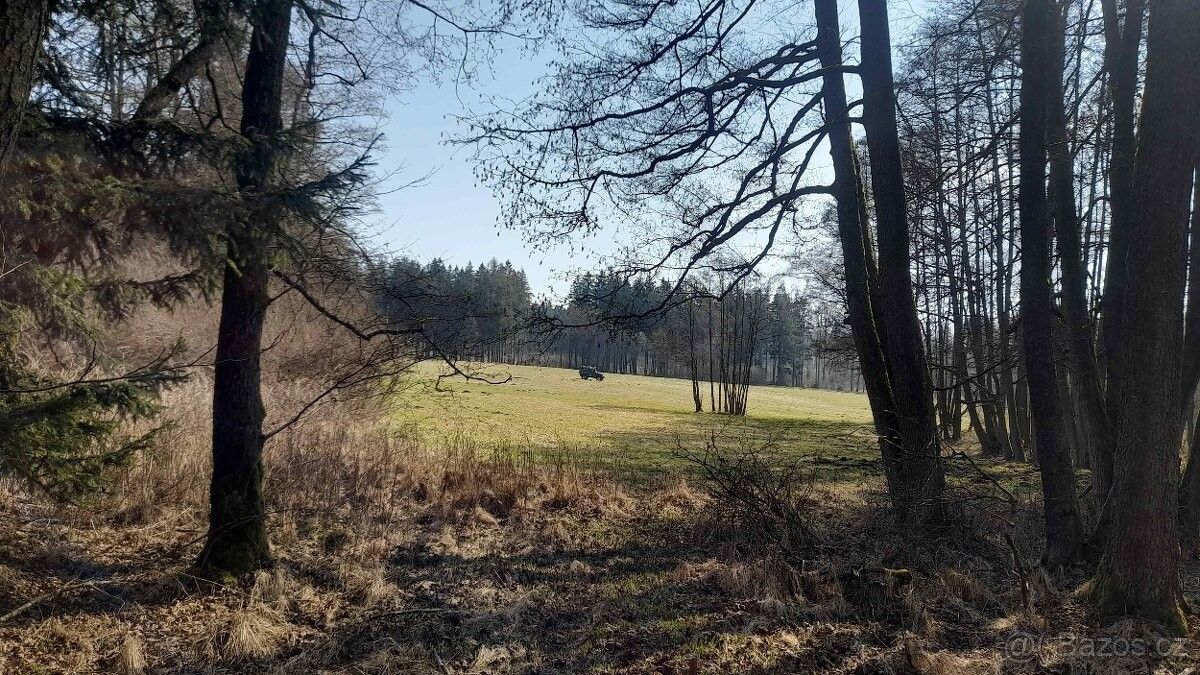 Pozemek pro bydlení · Plánice, 340 34 - 3