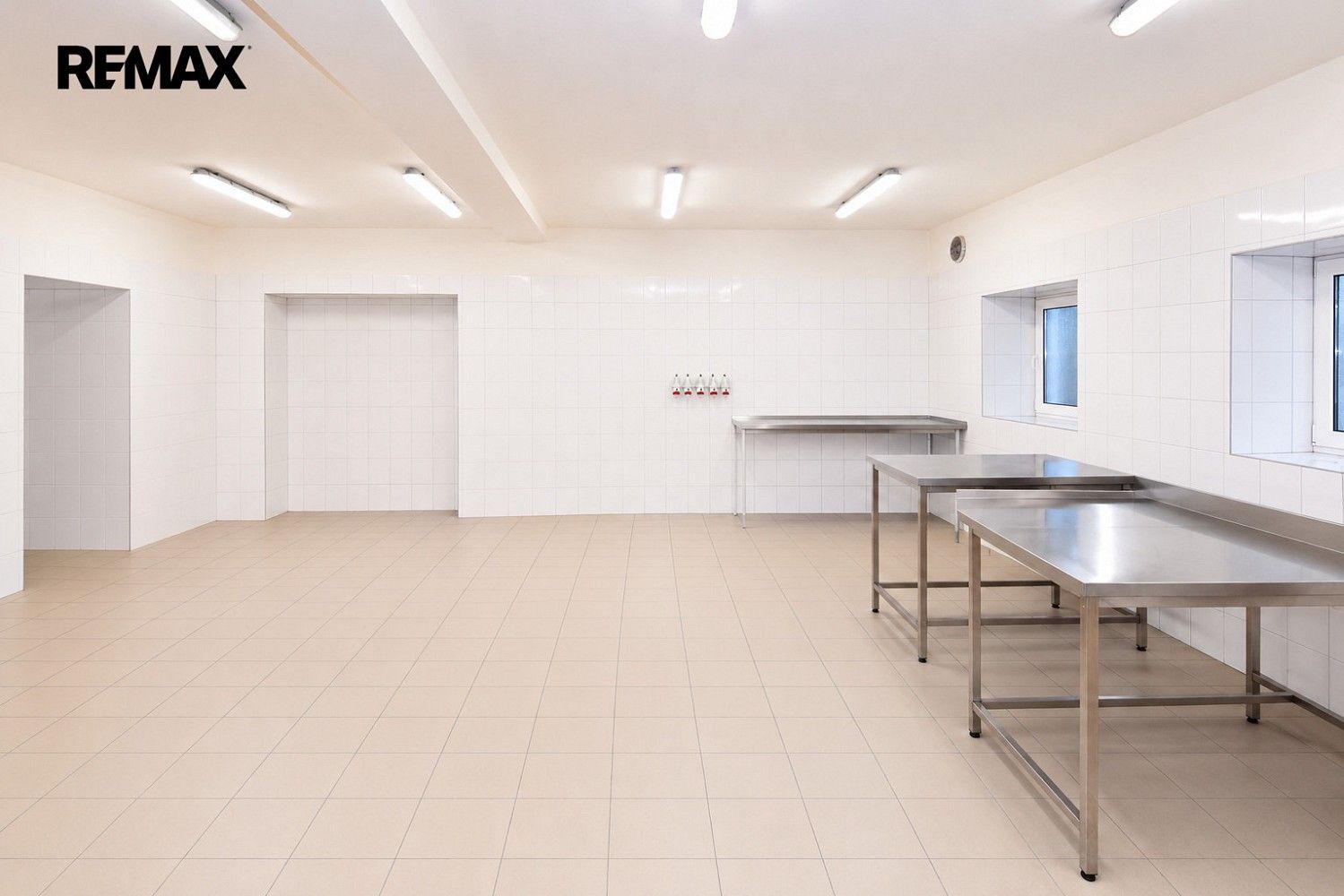 Obchodní prostory · 275 m² · Sudoměřice u Tábora, okres Tábor, Jihočeský kraj - 3