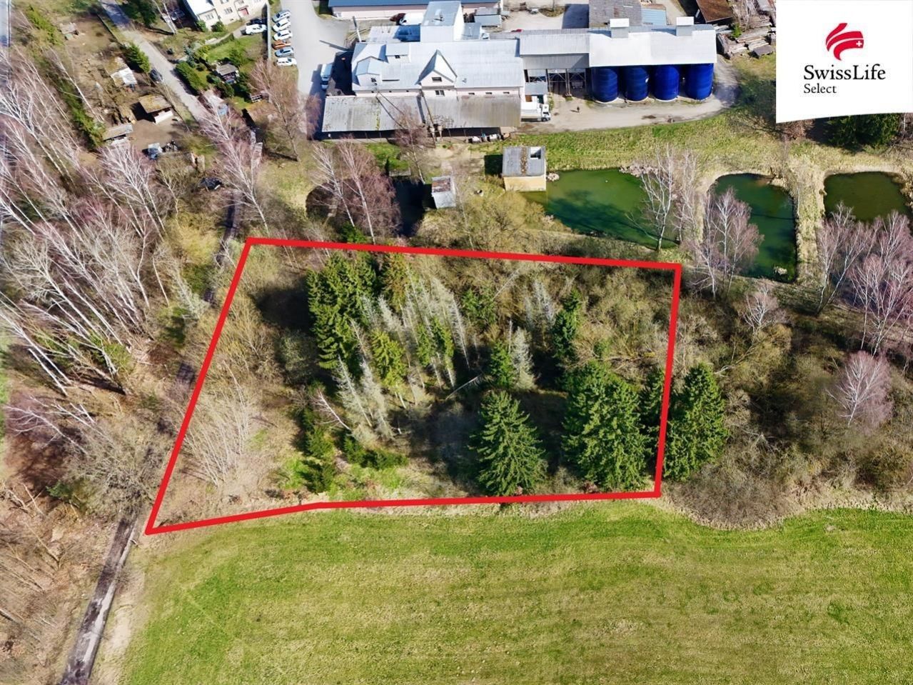 Les · 4 442 m² · Rodvínov - 4