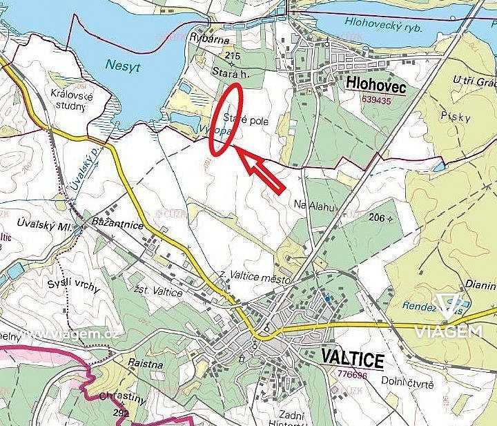 Zemědělský pozemek · Hlohovec, okres Břeclav - 3