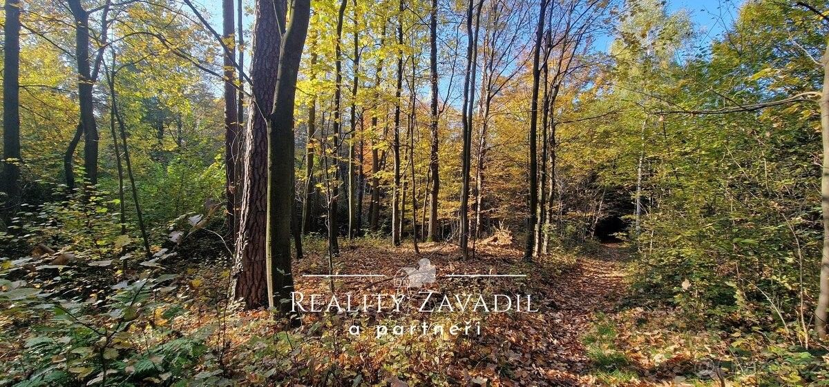 Prodej pozemek pro bydlení - Melč, 747 84