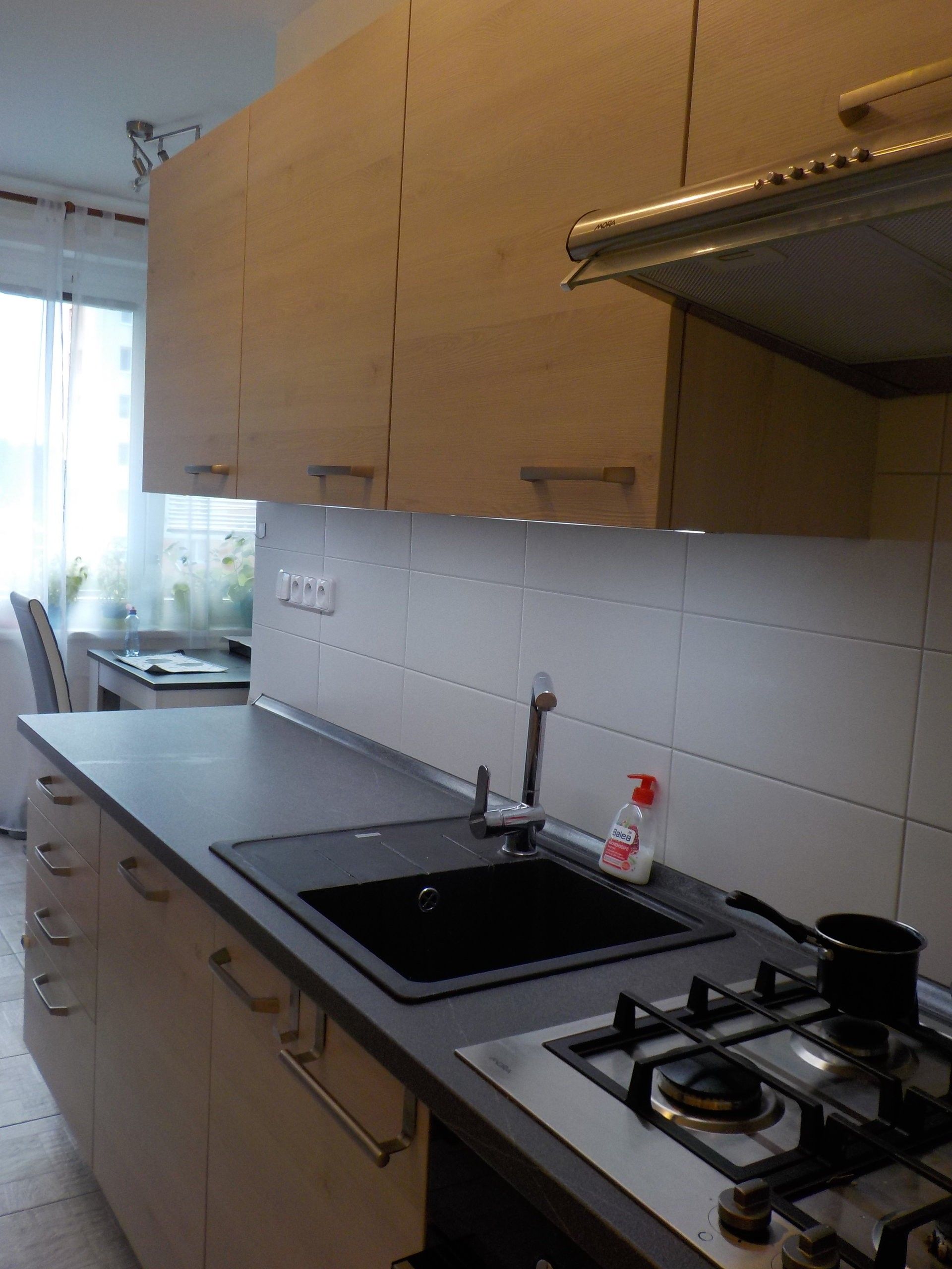 3+1, J. Opletala, České Budějovice, 68 m²