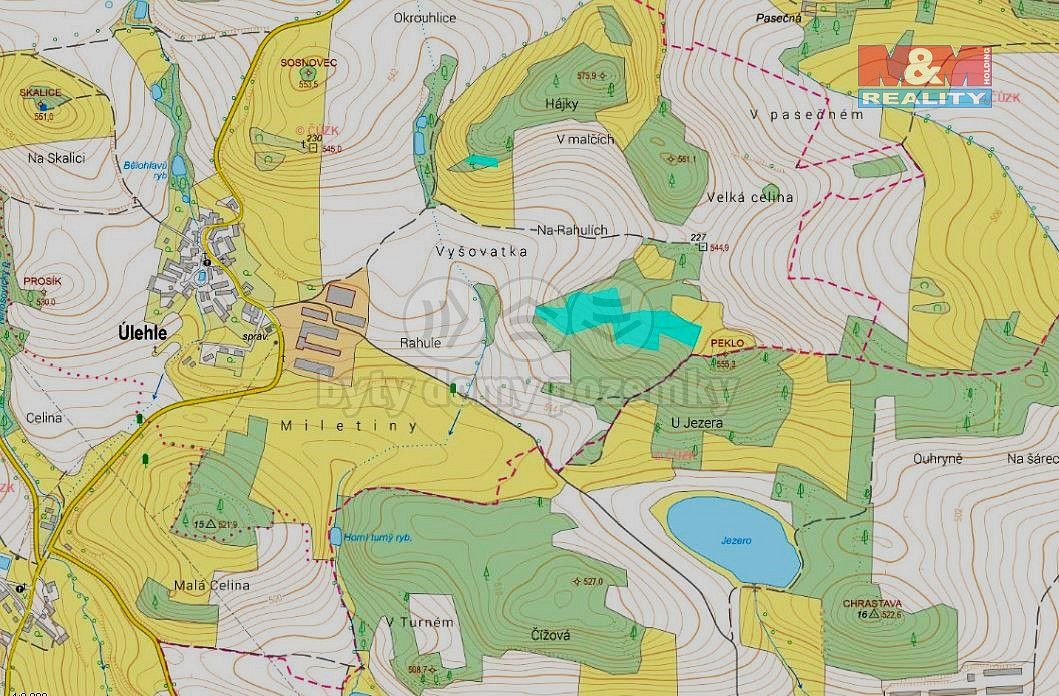 Les · Úlehle, okres Strakonice, Jihočeský kraj - 2