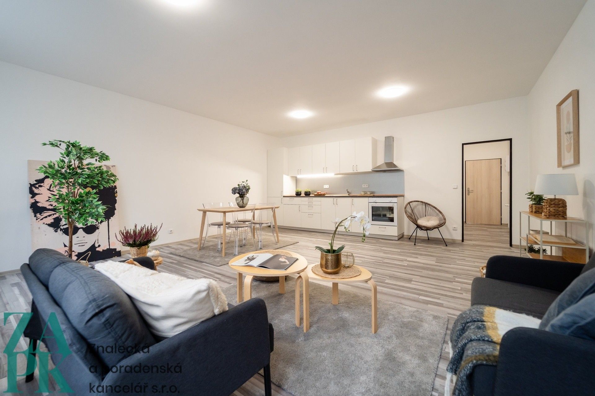 1+kk, Purkyňova, Ústí nad Labem, 57 m²