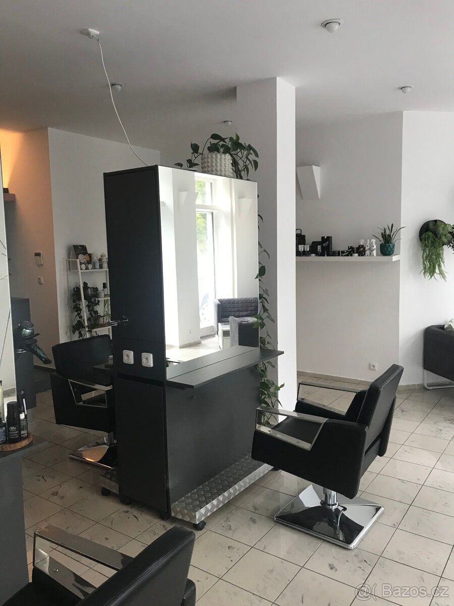 Obchodní prostory, České Budějovice, 370 01