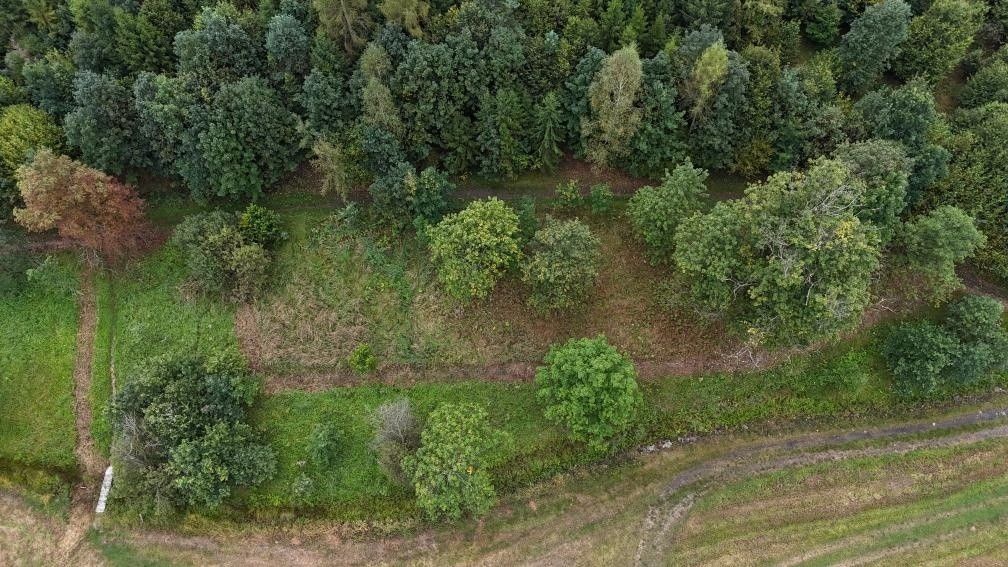 Pozemky pro bydlení, Vítkov, 749 01