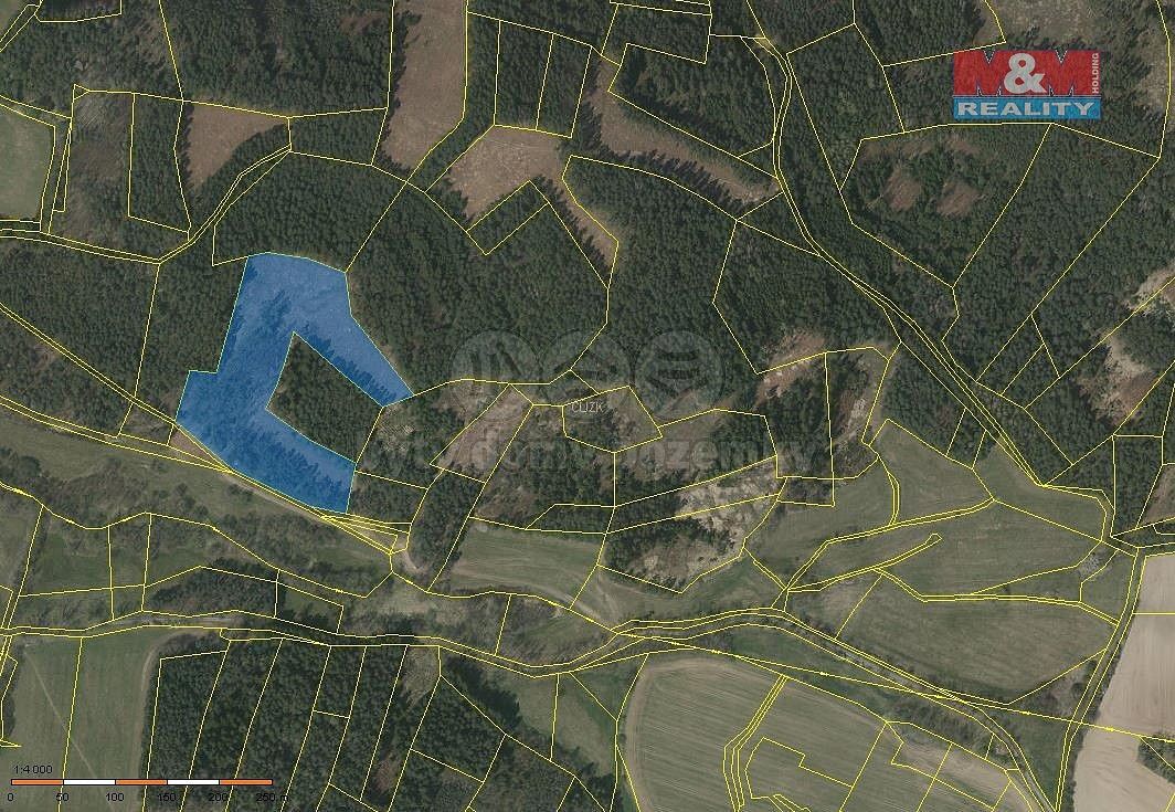 Lesy, Přechovice, okres Strakonice, Jihočeský kraj - 2