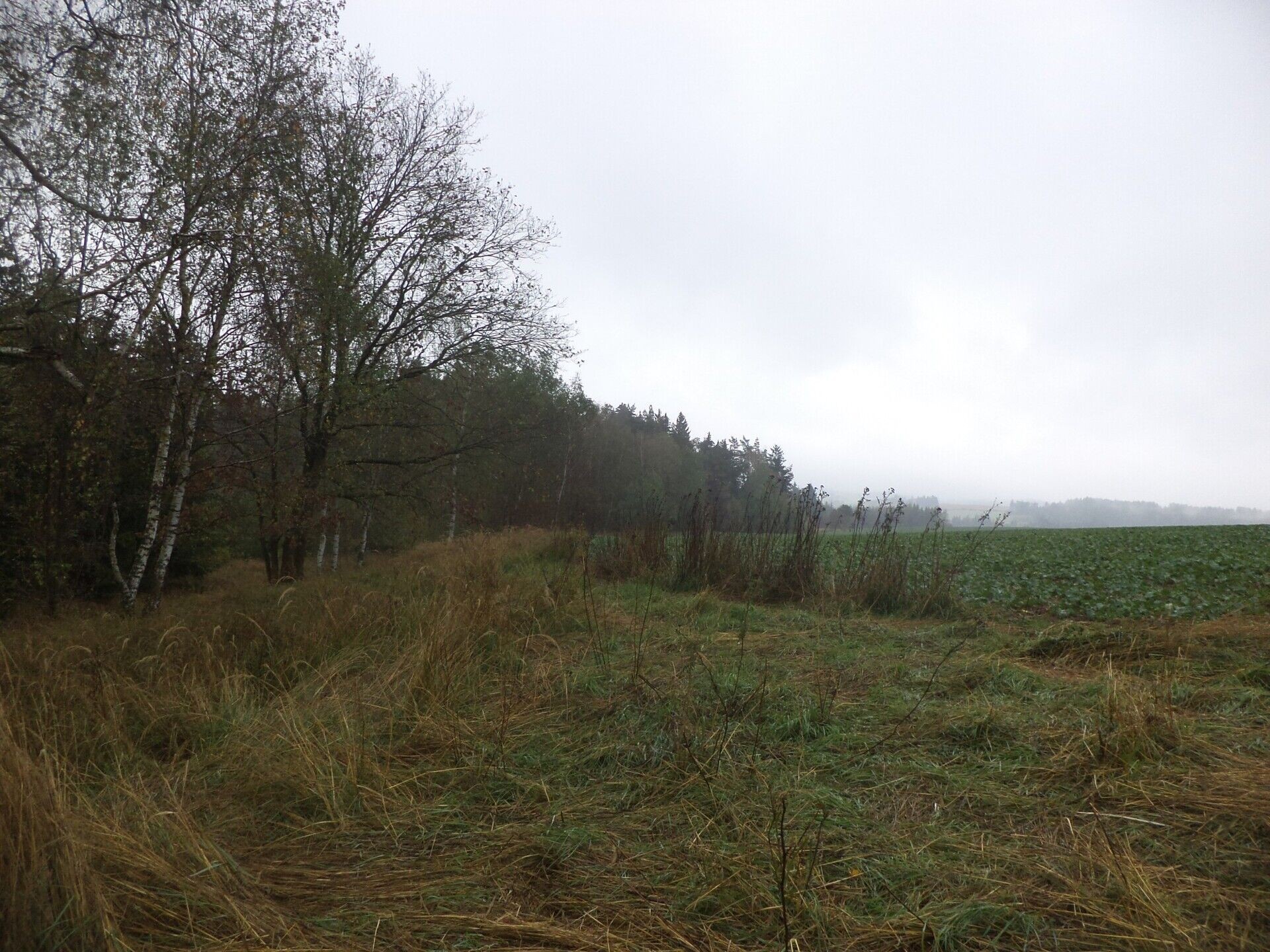 Louka · 19 262 m² · Peč Urbaneč - 4