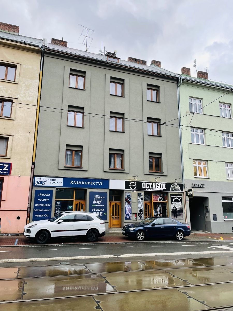 1+kk, 28. října, Ostrava - Mariánské Hory, Moravskoslezský kraj, 25 m² - 2