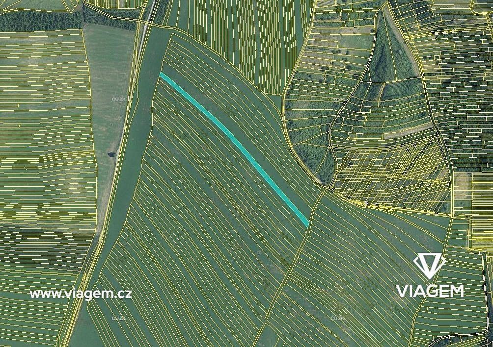 Prodej zemědělský pozemek - Uherčice, okres Břeclav, Jihomoravský kraj - 5