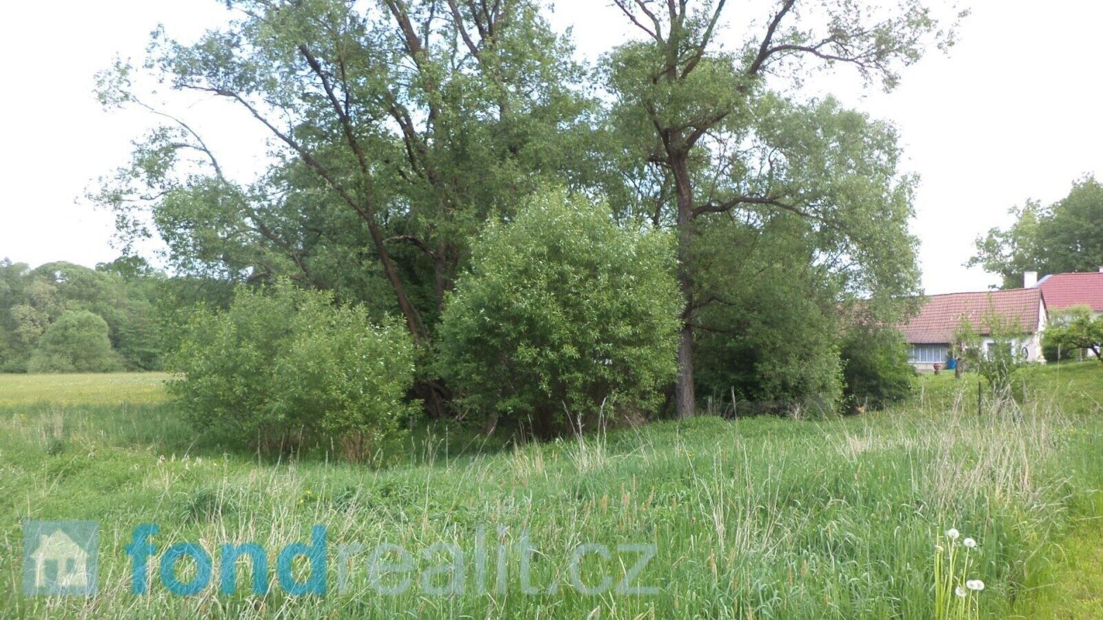 Ostatní, Nové Hrady Údolí, 643 m² - 1
