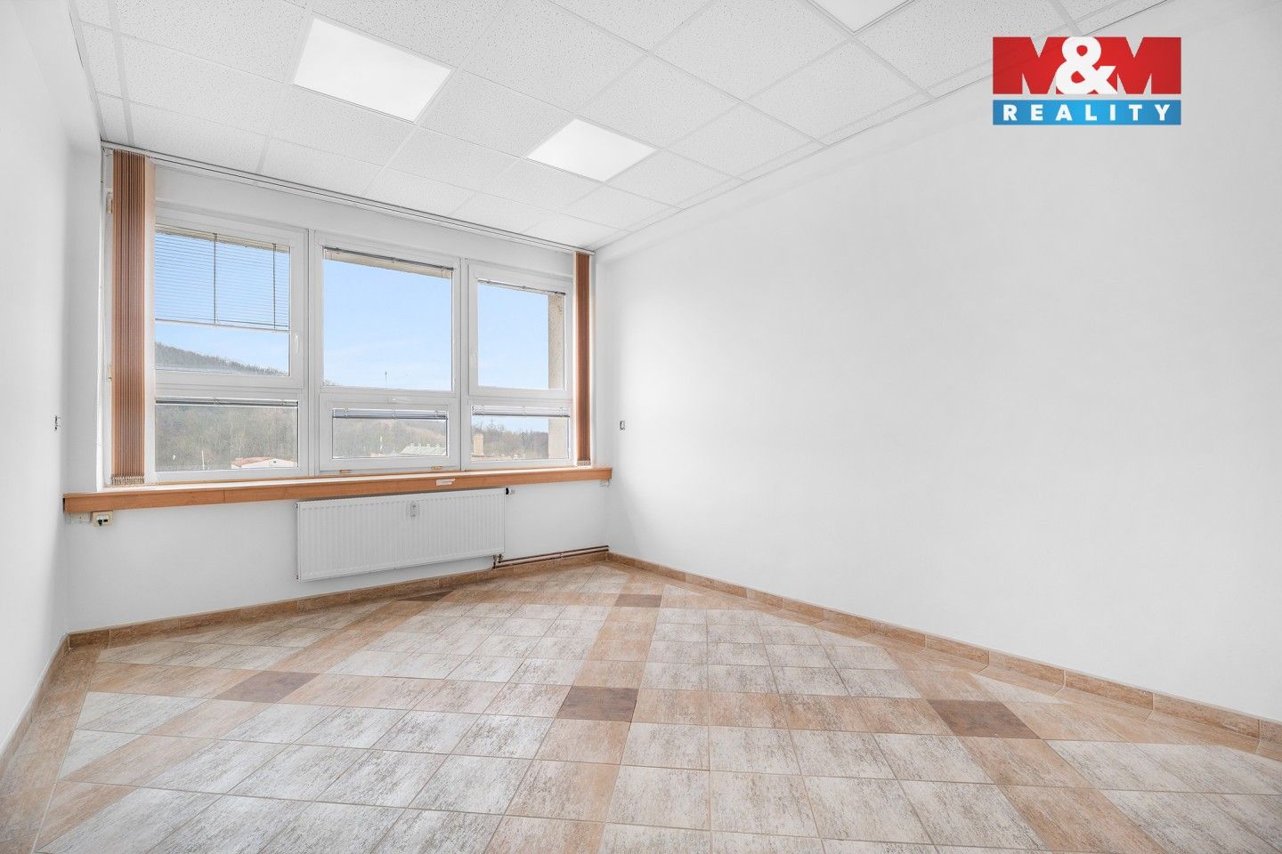 Kanceláře, Havířská, Ústí nad Labem, 247 m² - 2